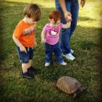 Maddie, Alex & the Turtle